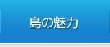 島の魅力