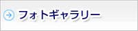 フォトギャラリー